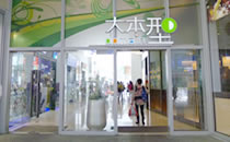 大本型