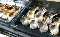 Lei Yue Mun Seafood Bazaar