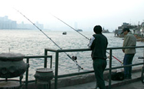 鯉魚門